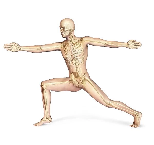 Human male in athletic dynamic posture, with skeleton superimposed