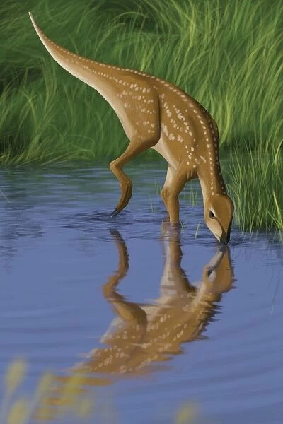 Hypsilophodon drinking water from a prehistoric lake