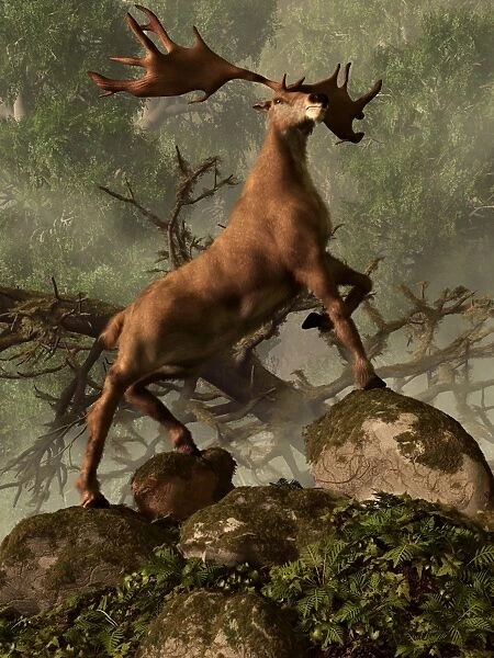 An Irish Elk stands proudly in a dense forest