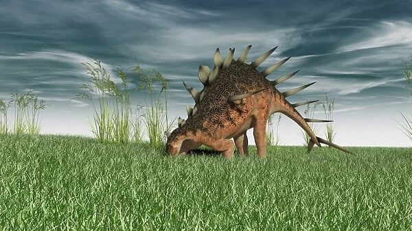 Kentrosaurus grazing in prehistoric grasslands