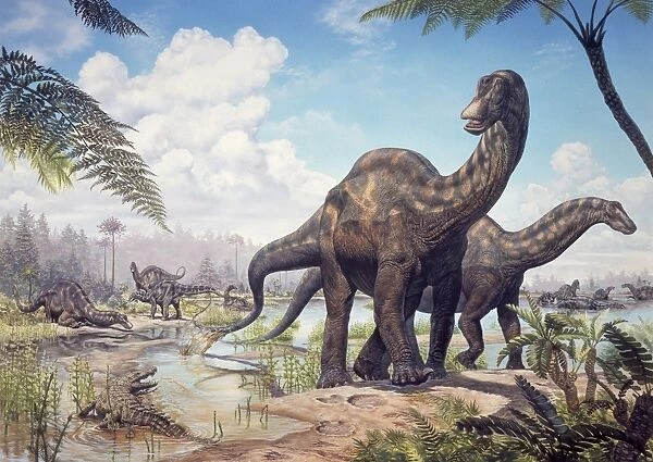 Large Dicraeosaurus sauropods from the Late Cretaceous of Africa