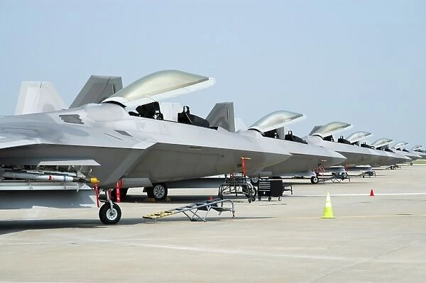 Line-up of U. S. Air Force F-22A Raptors at Langley Air Force Base, Virginia