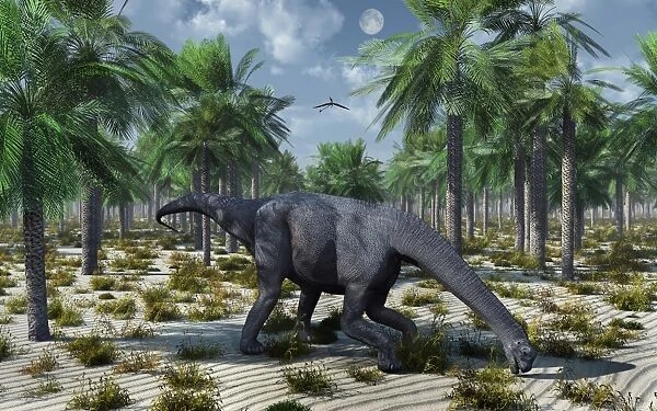 A lone Camarasaurus sauropod dinosaur grazing