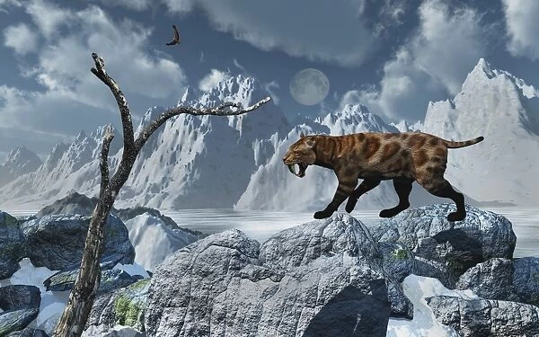 A lone Sabre-Toothed Tiger in a cold Pleistocene winter landscape
