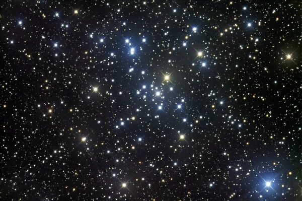 M41, a bright open star cluster located in the constellation Canis Major
