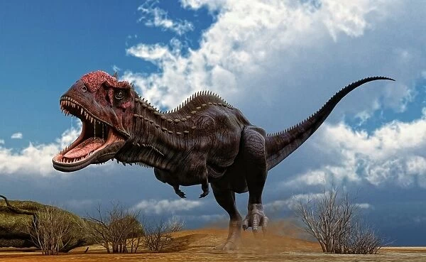 A Majungasaurus breaks into a run upon seeing prey