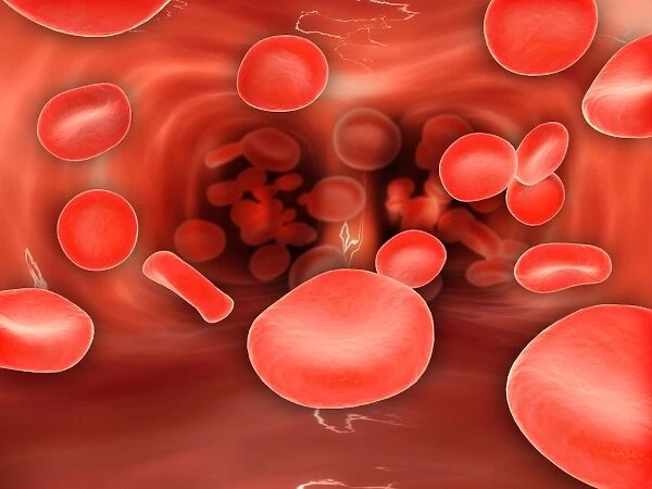 Microscopic view of red blood cells flowing inside lungs