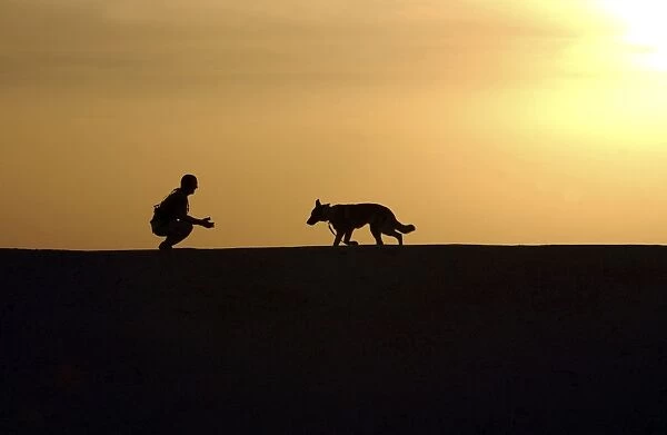 A military working dog and his handler spend time together