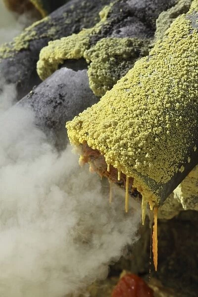Molten sulphur trickling out of condensation pipe, Kawah Ijen volcano, Java, Indonesia