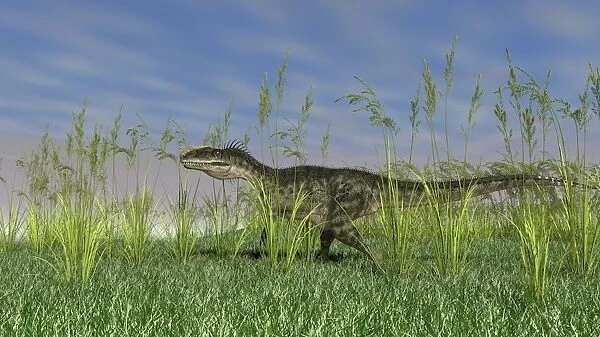 Monolophosaurus walking through tall grass