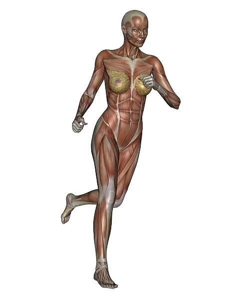 Muscular woman running
