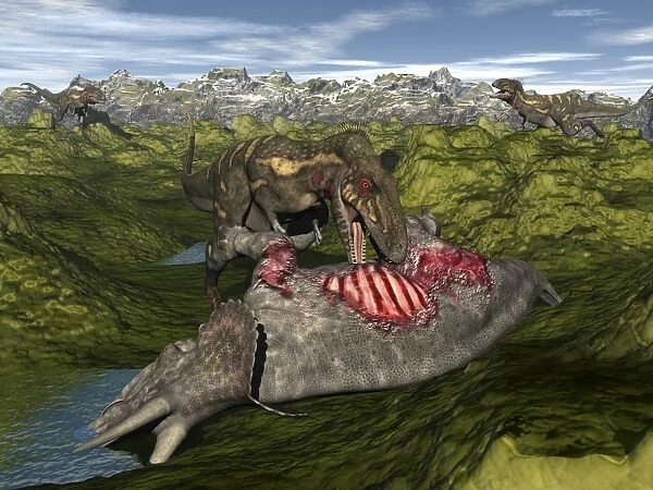Nanotyrannus eating the carcass of a dead Triceratops