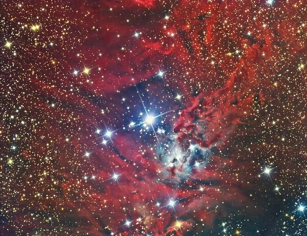 NGC 2264, the Christmas Tree Cluster and nebula