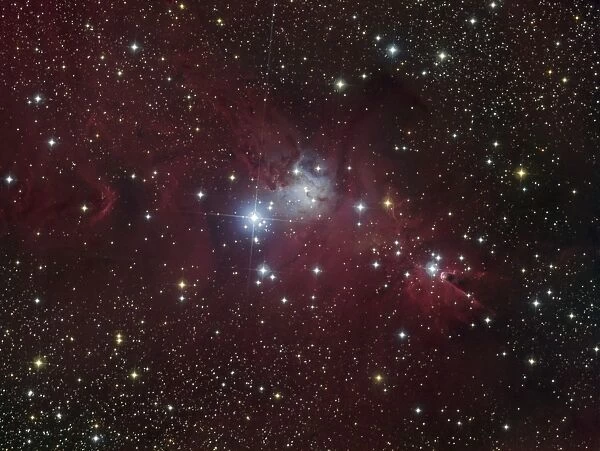 The NGC 2264 region showing the Cone Nebula, Christmas Tree Cluster, and Fox Fur Nebula