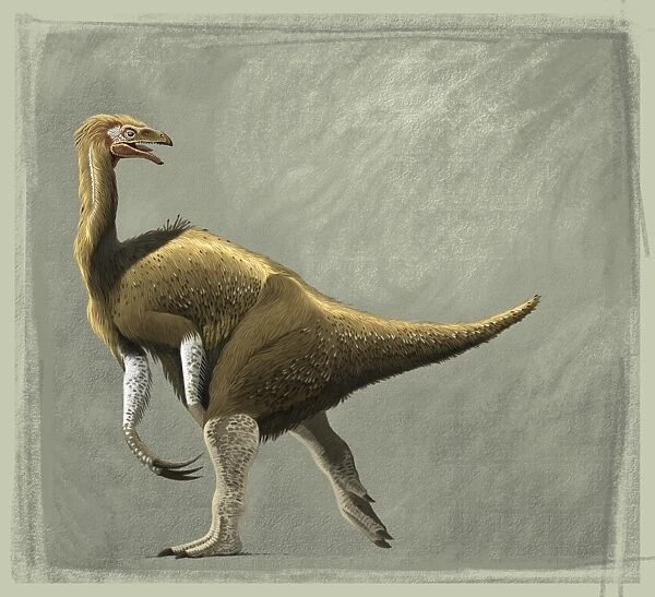 Nothronychus mckinleyi dinosaur of the Cretaceous Period