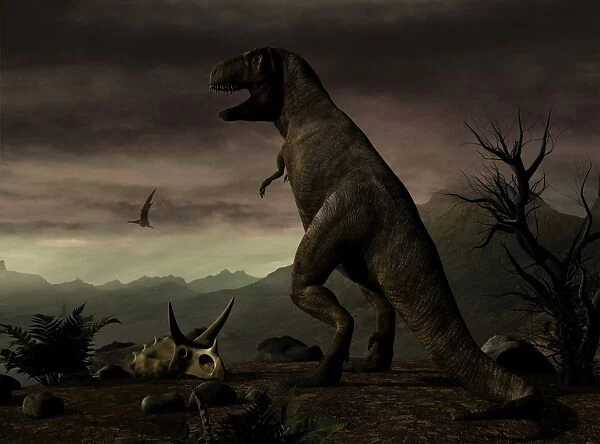 An old-fashioned depiction of Tyrannosaurus Rex in upright stance