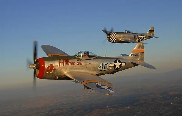 P-47 Thunderbolts flying over Chino, California