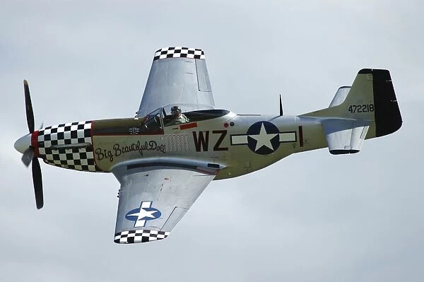 P-51D Mustang in World War II United States Army Air Corps colors