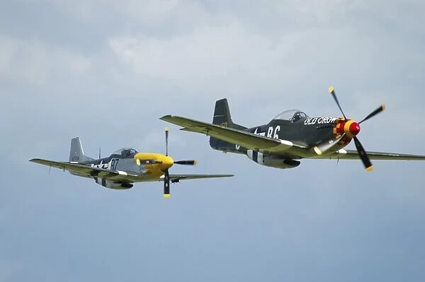 Two P-51D Mustangs in United States Army Air Corps colors