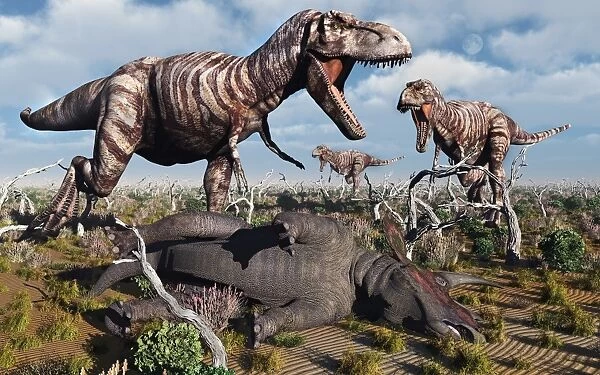 A pack of carnivorous T-rex dinosaurs with their freshly killed Triceratops