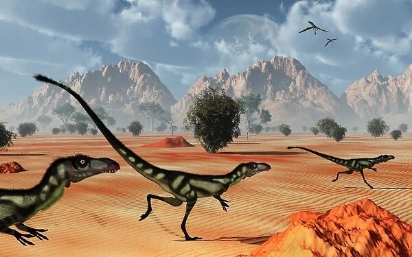 A pack of dilong tyrannosaurid dinosaurs hunting
