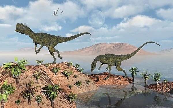 A pair of Dilophosaurus dinosaurs during Earths Jurassic period