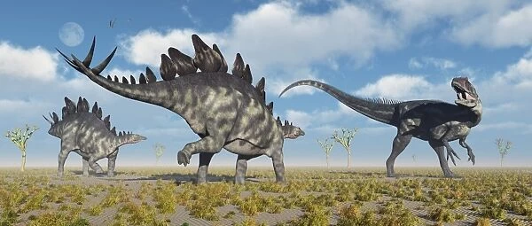 A pair of Stegosaurus dinosaurs confronting an Allosaurus