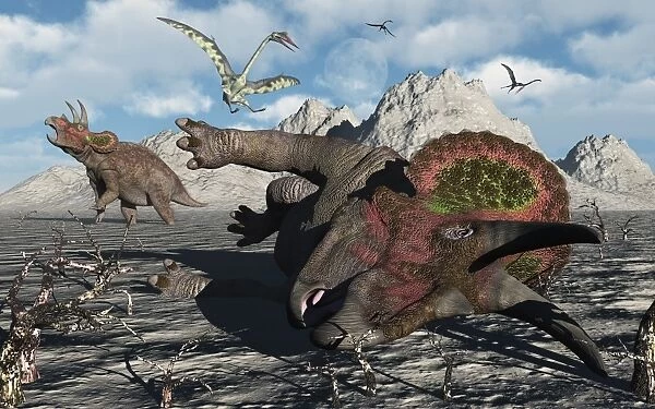 A pair of Triceratops trapped in a deadly mud pit