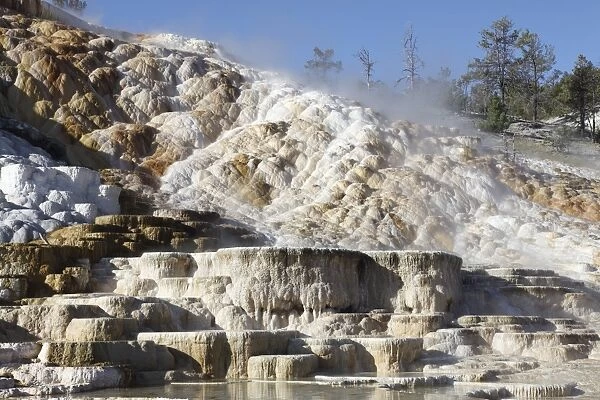 Palette spring and travertine sinter terraces