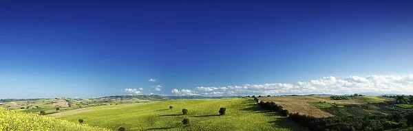 Panoramic view of a green field with lonely trees, Tuscany, Italy
