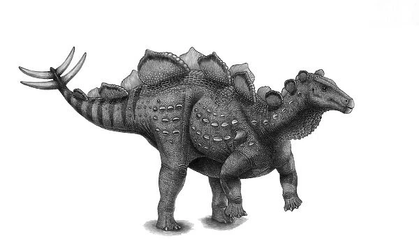 Pencil drawing of Wuerhosaurus homheni standing on its hind legs