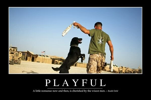 Playful: Inspirational Quote and Motivational Poster