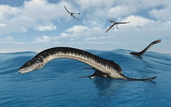 Plesiosaurs in their marine habitat