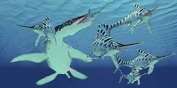 A pod of Eurhinosaurus marine reptiles try to evade the much larger Liopleurodon