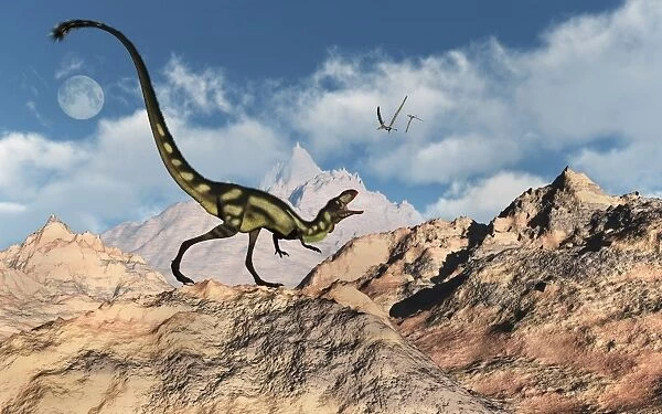 A predatory tyrannosaurid Dilong dinosaur