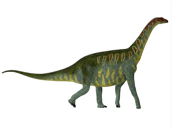Side profile of a Brontomerus dinosaur
