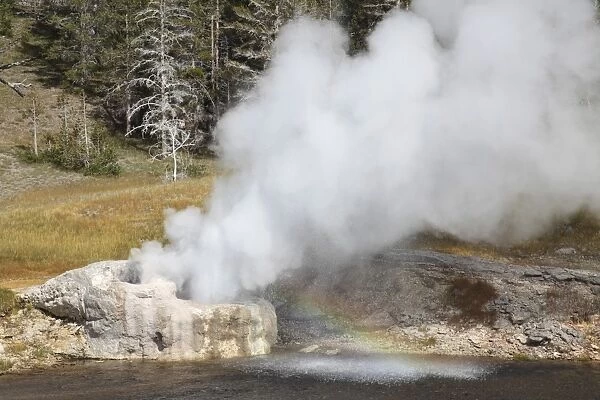 Riverside Geyser erupting, Upper Geyser Basin geothermal area, Yellowstone National Park