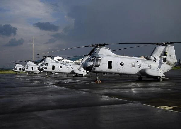 A row of CH-46 Sea Knights sit on the flight line