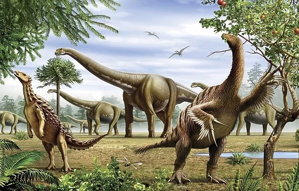 Scelidosaurus, Nothronychus and Argentinosaurus dinosarus grazing on leaves