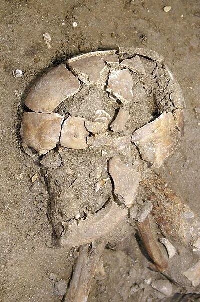 Skeletal remains discovered during dig at Mildenhall