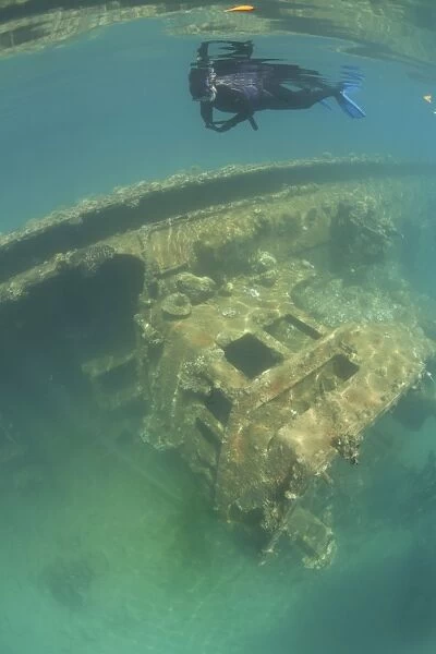 A snorkeler swims above a shipwreck in Palaus inner lagoon