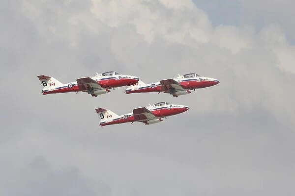 The Snowbirds 431 Air Demonstration Squadron of the Royal Canadian Air Force