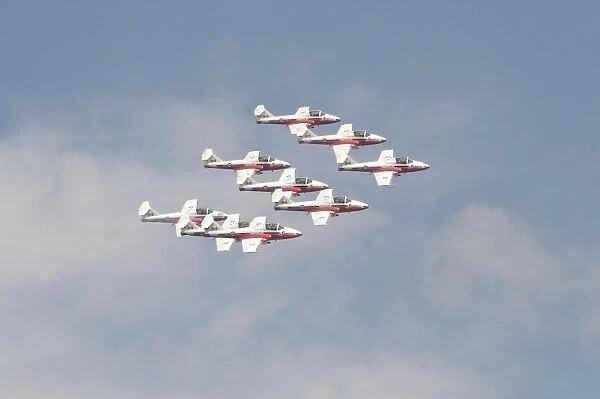 The Snowbirds 431 Air Demonstration Squadron of the Royal Canadian Air Force