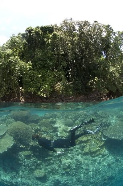 Split level view of snorkeller at Restorf Island, Papua New Guinea