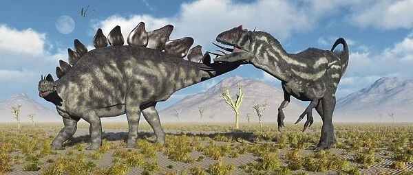 A Stegosaurus defending itself from a predatory Allosaurus attack