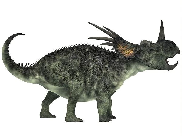 Styracosaurus, a herbivorous ceratopsian dinosaur