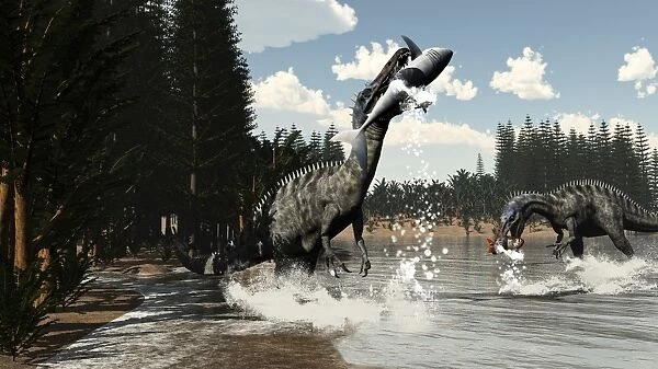 Two Suchomimus dinosaurs catch a fish and shark