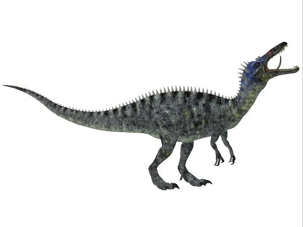 Suchomimus, a large dinosaur from the Cretaceous Period
