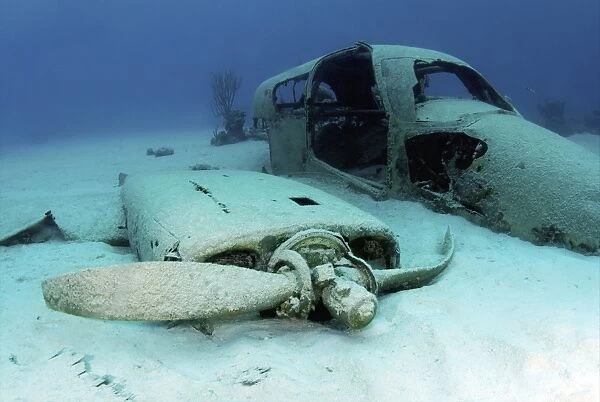 Sunken plane from the film Jaws 4, Nassau, The Bahamas