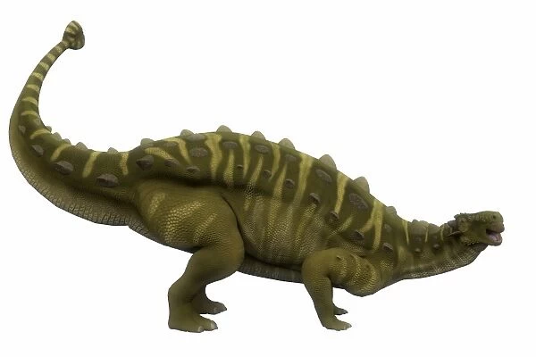 Talarurus dinosaur, side profile